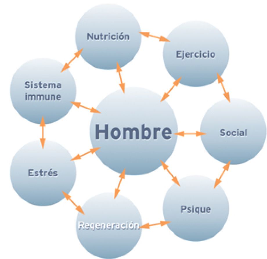Terapia Regenerativa. Psiconeuroinmunología.